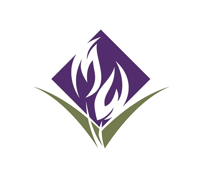 MetroWest Mark physicians